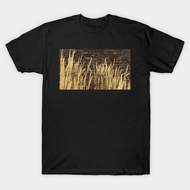 Grass T-Shirt by DancingCreek